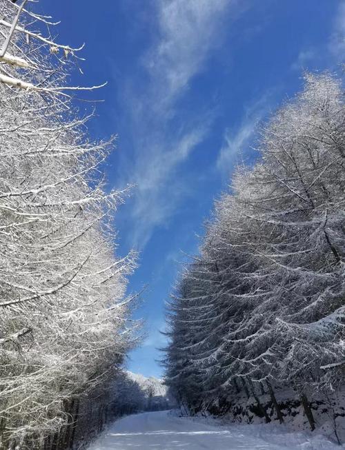 冬季雪封草地哪里好玩？(推荐几个必去雪草景点)