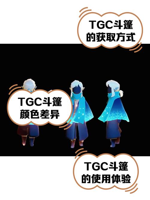 tgc限定是什么东西？简单解释让你立刻明白！