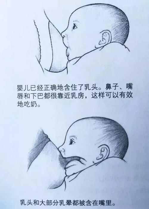 吃奶门事件经验分享？(老司机教你避坑反思)