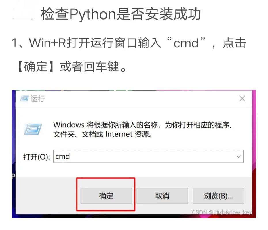 如何运行REALPLAY.EXE文件？手把手教你操作很简单！