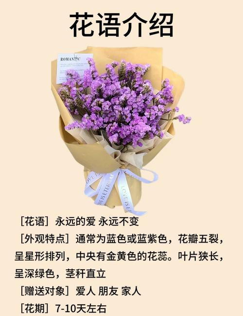 勿忘我 存档的意义是什么(揭秘它的核心重要性)
