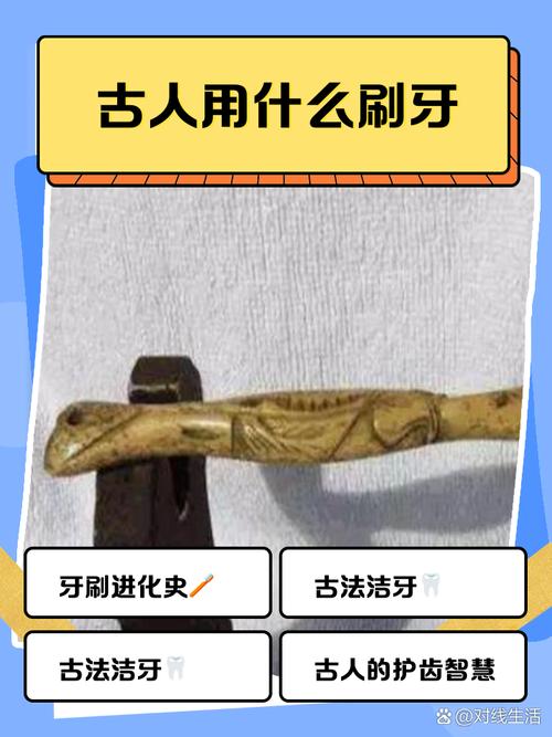 古代刷牙利器哪里找？博物馆藏着3种珍贵实物