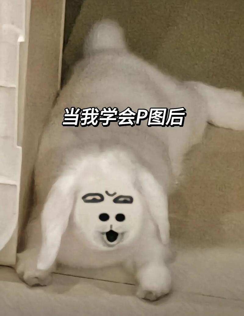 暴走表情包在哪下载(3个常用途径轻松获取)