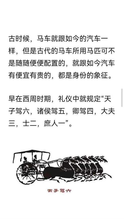 驷马难追的驷指什么？3点讲清这个成语的历史典故