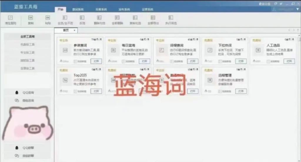 蓝猫工具箱如何下载？(免费安装步骤全指南)