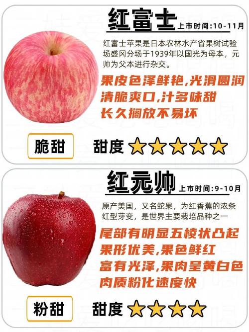 大苹果韩妆价格贵不贵？(省钱购买方法大放送)
