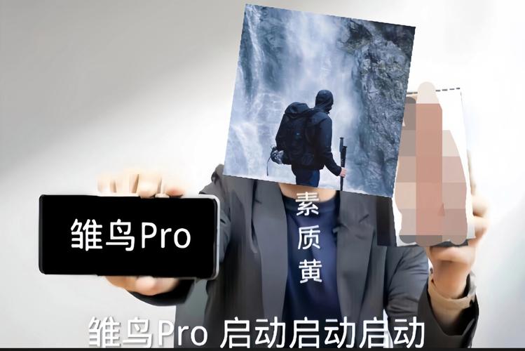 如何找到雏鸟PRO17幼儿隐藏入口？简单三步轻松搞定！