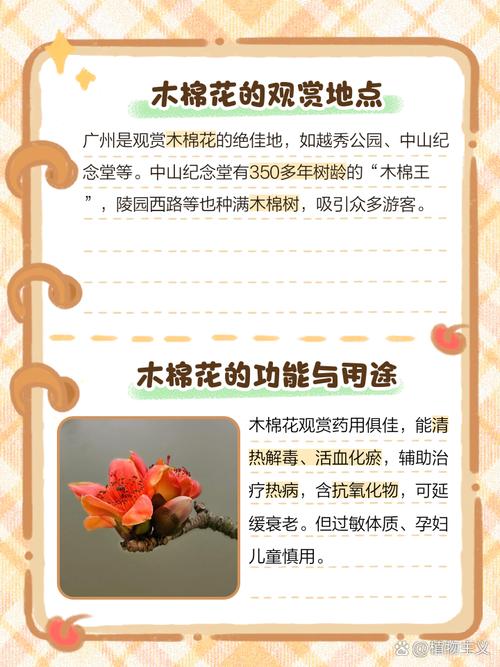 木棉花春天什么时候开？最佳观赏时间千万别错过