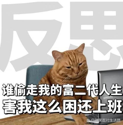 打工人打工魂打工都是人上人秘诀大公开？三步助你逆袭当人上人！
