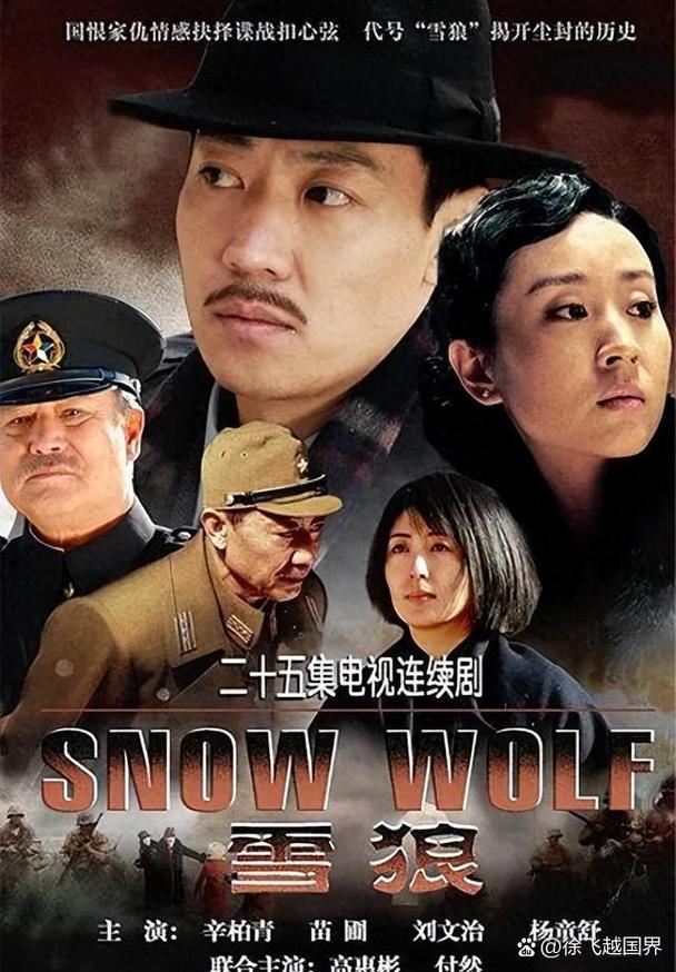 雪狼电视剧值得追吗？这些理由让你立刻开看！