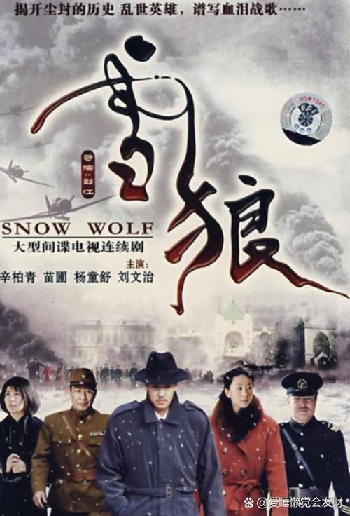 雪狼电视剧值得追吗？这些理由让你立刻开看！