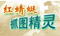 红蜻蜓抓图精灵2011安装步骤？(简单教程避免错误)