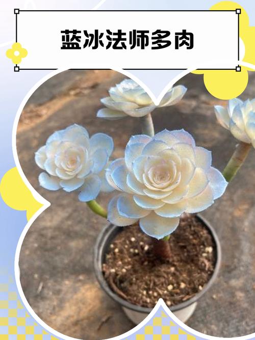 法师蓝宝石怎么得？快速获取攻略分享！
