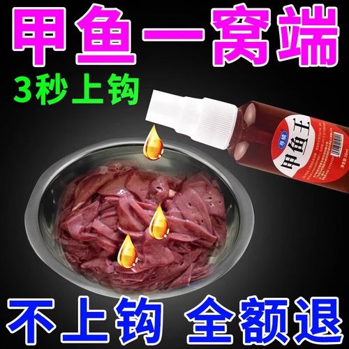 哪里购买鳞甲海龟饲料？行内人推荐5个靠谱渠道！