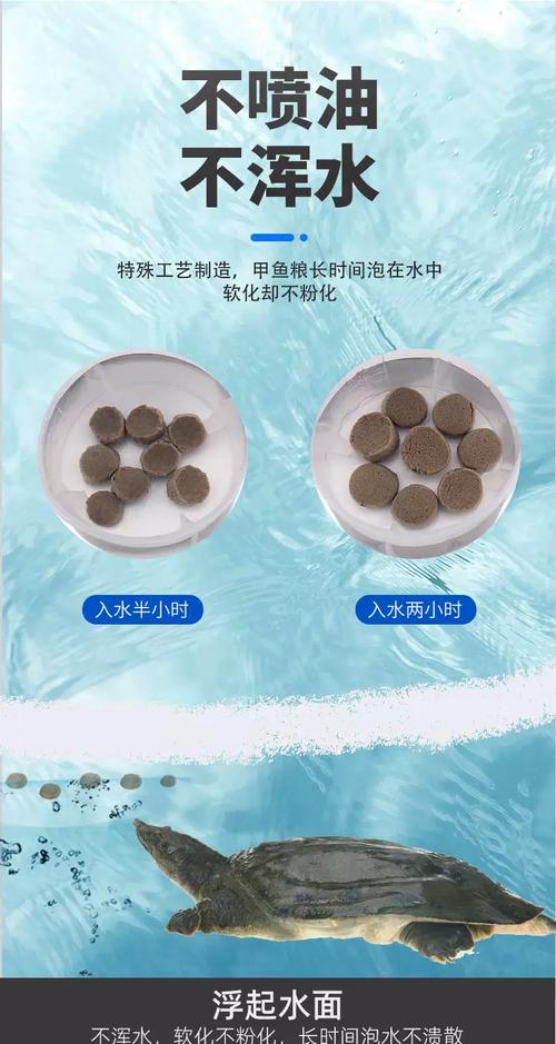 哪里购买鳞甲海龟饲料？行内人推荐5个靠谱渠道！