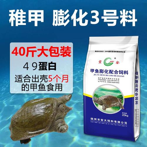 哪里购买鳞甲海龟饲料？行内人推荐5个靠谱渠道！