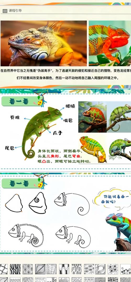 变色龙引导怎么使用？超详细步骤教学一看就会