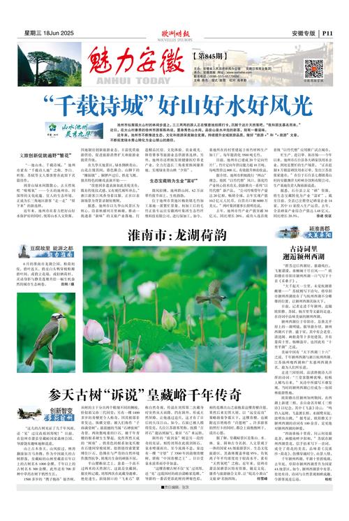 欧洲华人报电子版怎么订？手把手教你免费领取