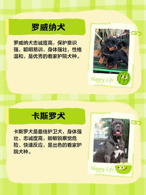 艾斯卡达尔宠物怎么养？繁殖技巧和喂养方法