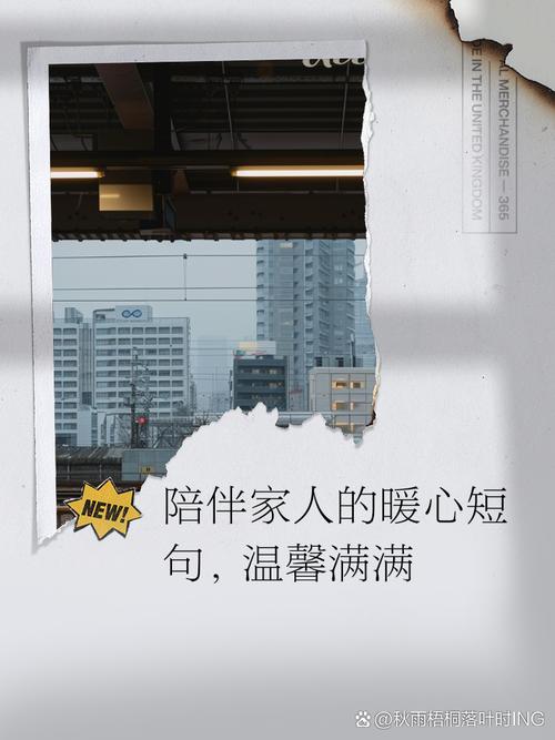 夜幕降临前如何陪伴家人？亲子活动轻松安排！