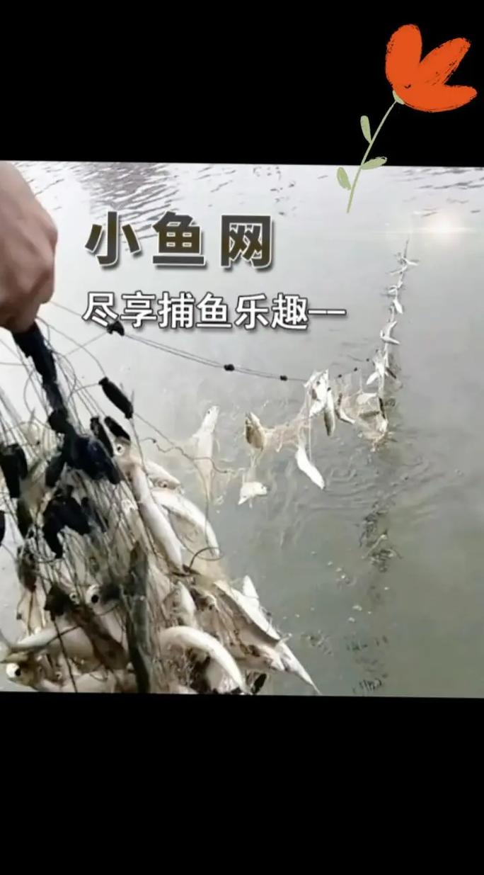 在江城小鱼网怎么发帖？新手必备操作详细教程！