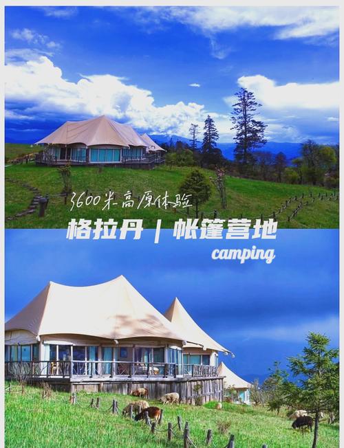 古拉格营地为什么会建立？(深入解析背后原因)