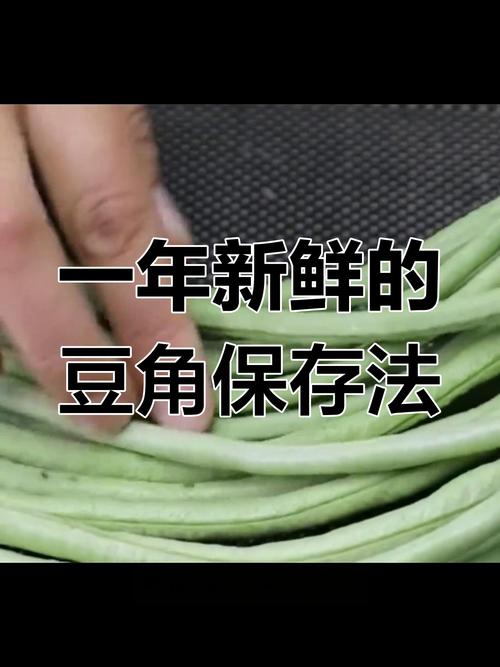 九月青豆角保存方法？老农分享3种保鲜秘诀！