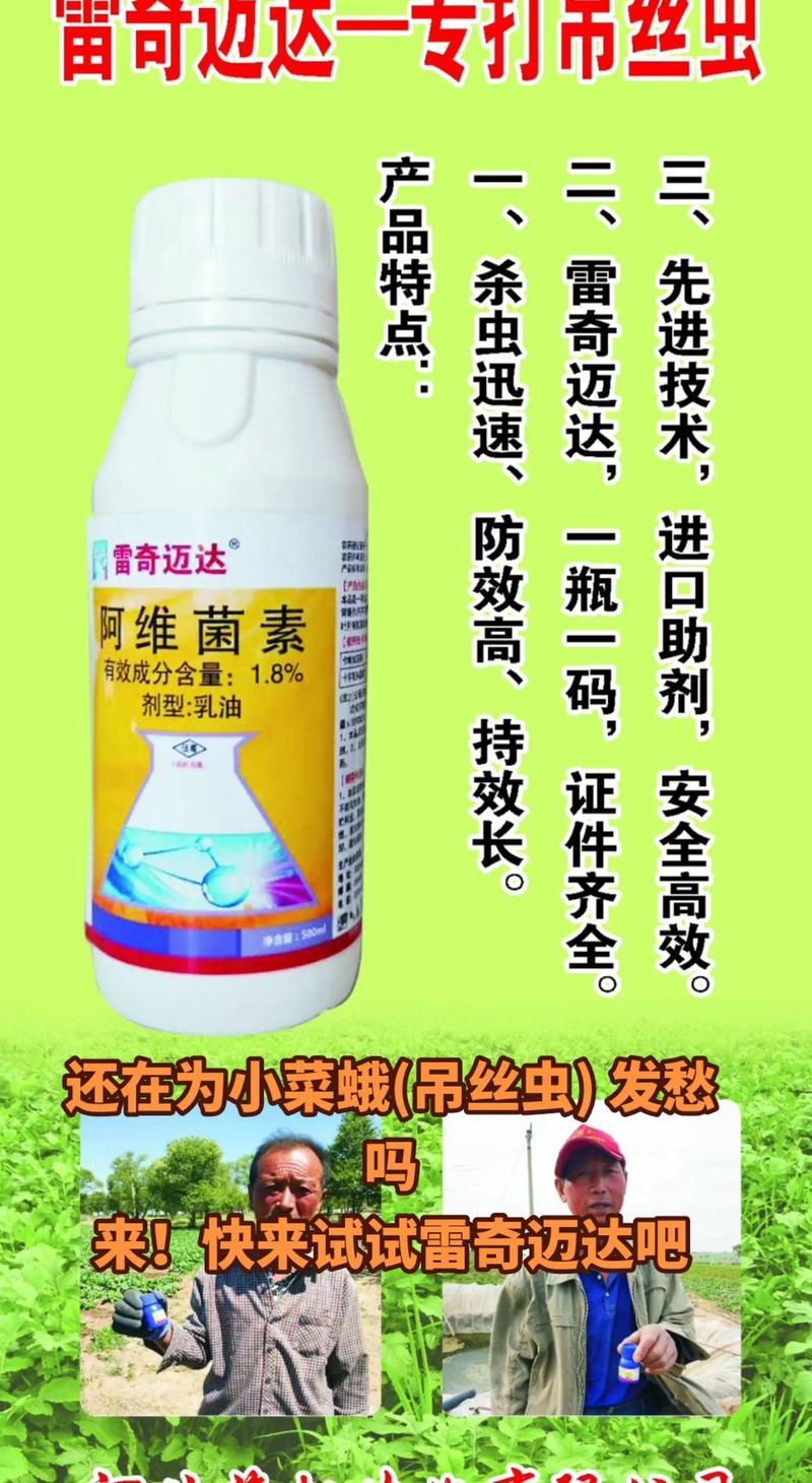 小菜蛾防治难怎么做？掌握这5步轻松应对挑战