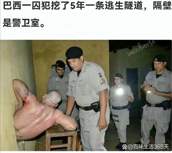 灰石的囚犯哪里能看？(免费观看方法大揭秘)