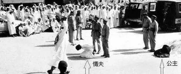 灰石的囚犯哪里能看？(免费观看方法大揭秘)