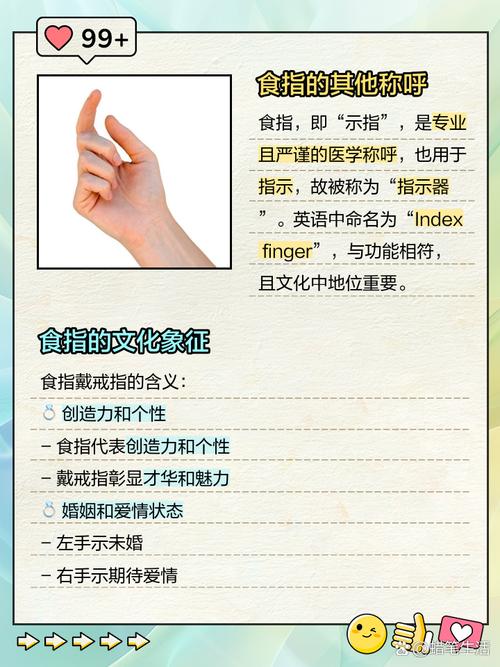 为什么叫食指的关键点有哪些？快速掌握冷门常识！