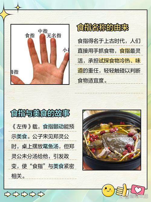 为什么叫食指的关键点有哪些？快速掌握冷门常识！