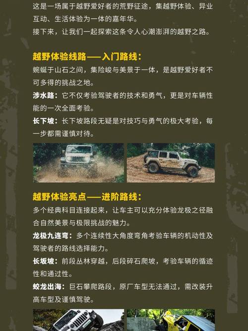 吉普车游戏怎么快速上手(新手必备简单技巧分享)