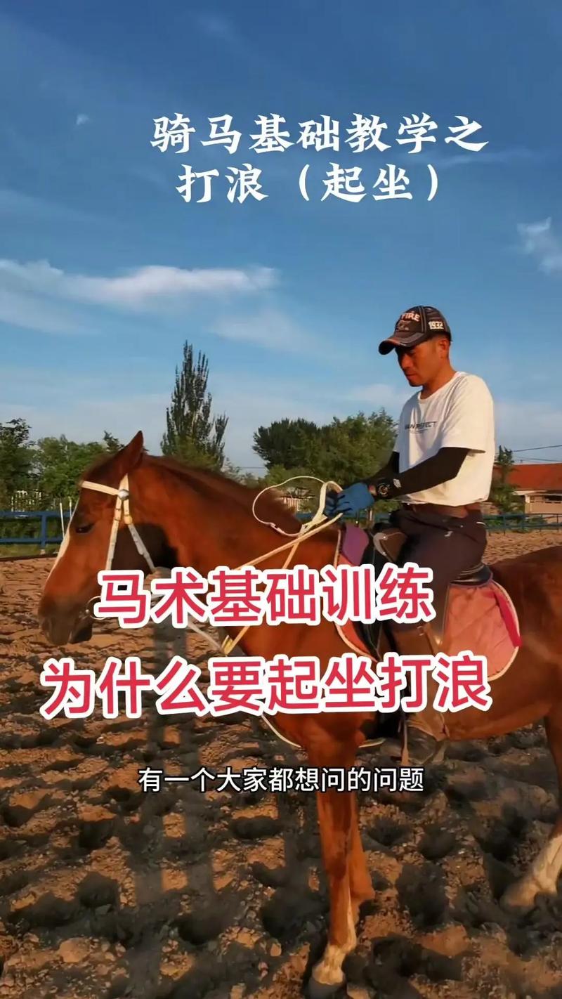310骑术常见疑问解答？完整答案一次搞定问题！