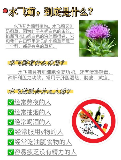 怎么预防血蓟瘾君子？(家庭必备防护技巧实用指南)