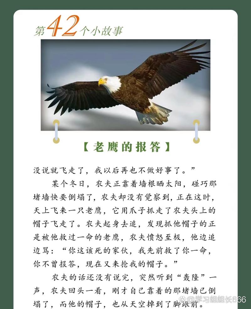受伤的翅膀是什么意思？(专家解读象征意义与实际应用)