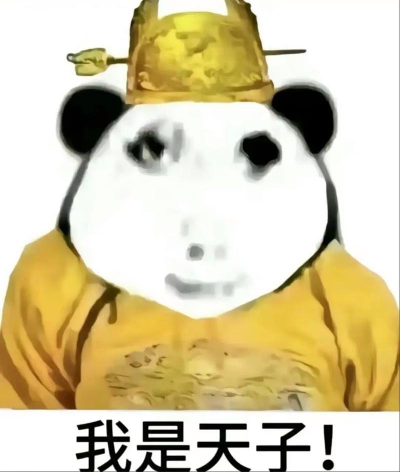 龙王表情包聊天必备！掌握7个场景效果直接翻倍！