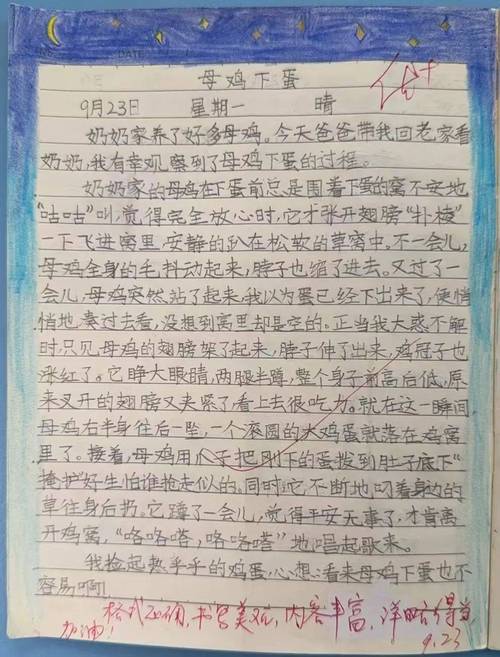 金娜的日记表达了啥情感？深度解析书中隐藏的爱与痛！