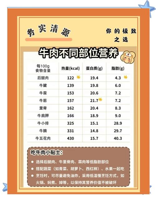 肥牛不包括营养全面吗？深度解析健康饮食(避开常见错误)