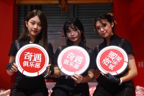 奇遇俱乐部有哪些活动？(揭秘5大精彩冒险项目)