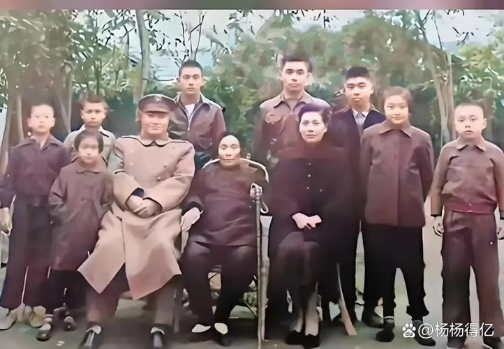 一家三司令是什么？全面揭秘这个独特概念的含义和故事！