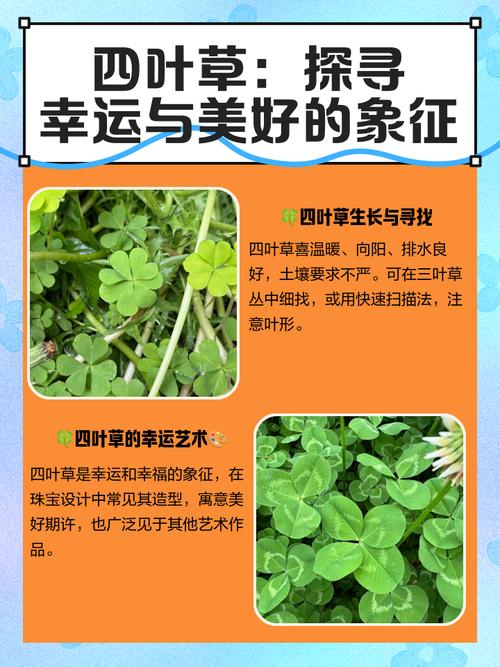 寻找四叶草有什么好处？揭秘它带来的惊人幸运时刻！
