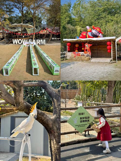 达伦德农场怎么玩最嗨？(5个必打卡项目亲子游攻略全分享)