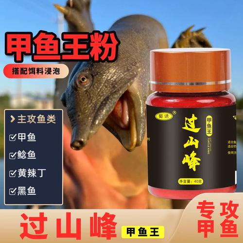海龟在哪里钓季节最佳？最佳时机大揭秘