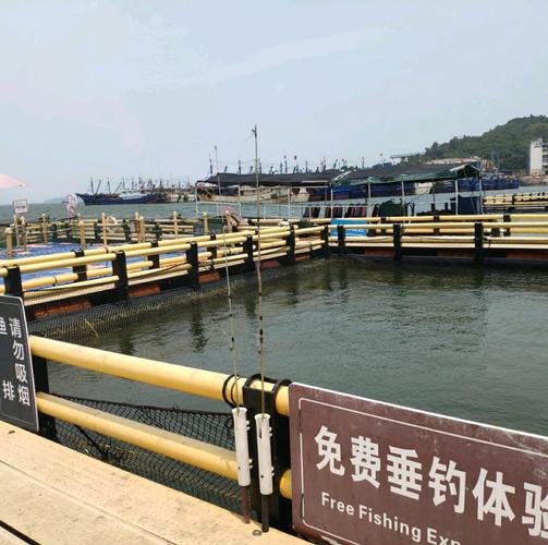 海龟在哪里钓季节最佳？最佳时机大揭秘