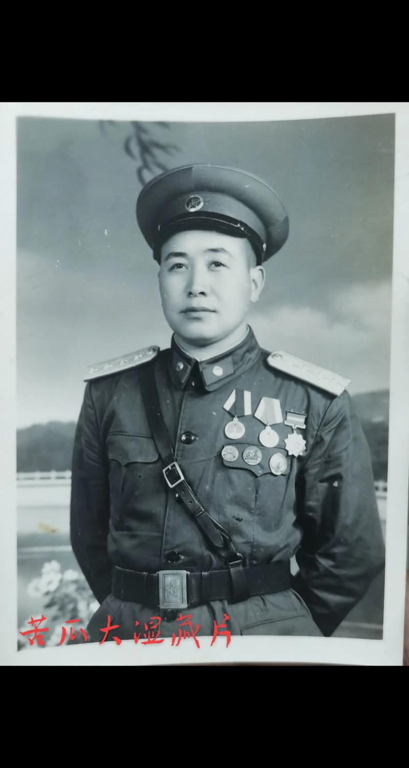 荣誉军需官是什么？(新手入门指南全面解析)