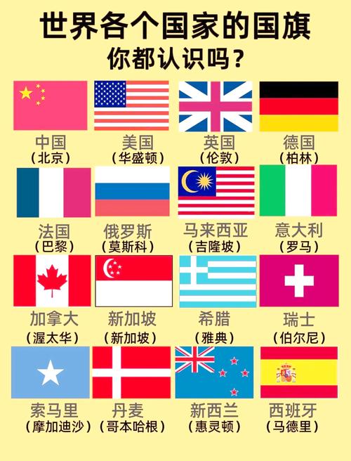 疯狂认国旗工具哪个好用？实测三大APP推荐