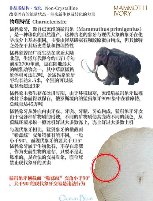 猛犸什么梗究竟啥意思？原来是指这个动物玩梗