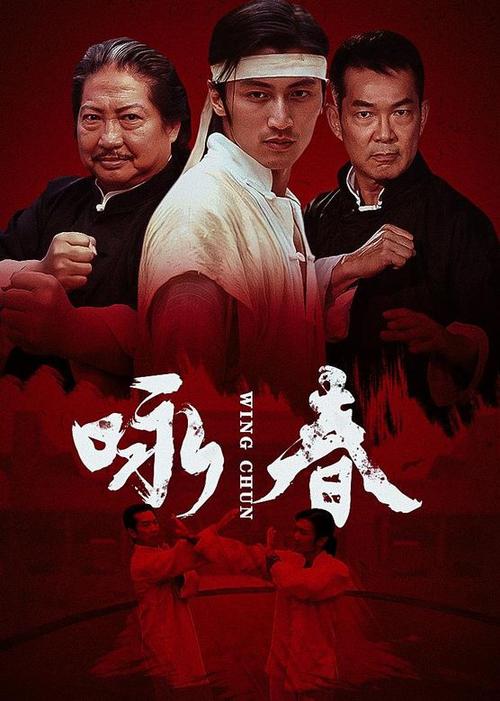 咏春电视剧哪些好看？内行人推荐这5部必追剧集