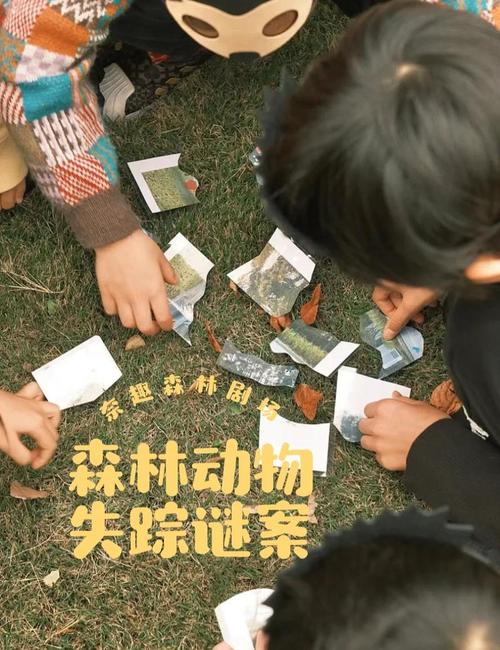 树林中的线索真实案例？故事揭秘惊心动魄！